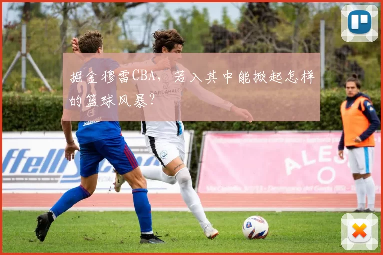 掘金穆雷CBA，若入其中能掀起怎样的篮球风暴？