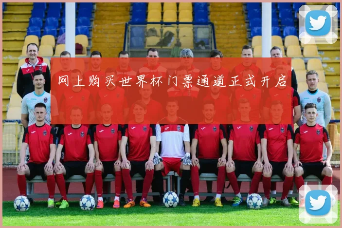 网上购买世界杯门票通道正式开启